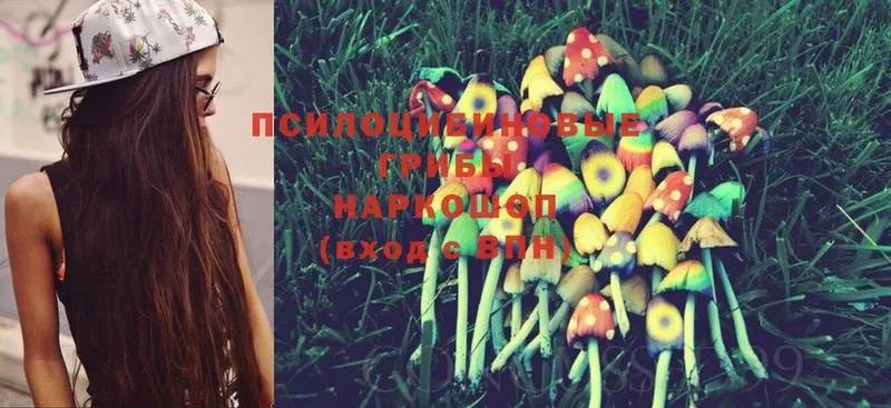 наркота  Пушкино  hydra как зайти  Псилоцибиновые грибы MAGIC MUSHROOMS 